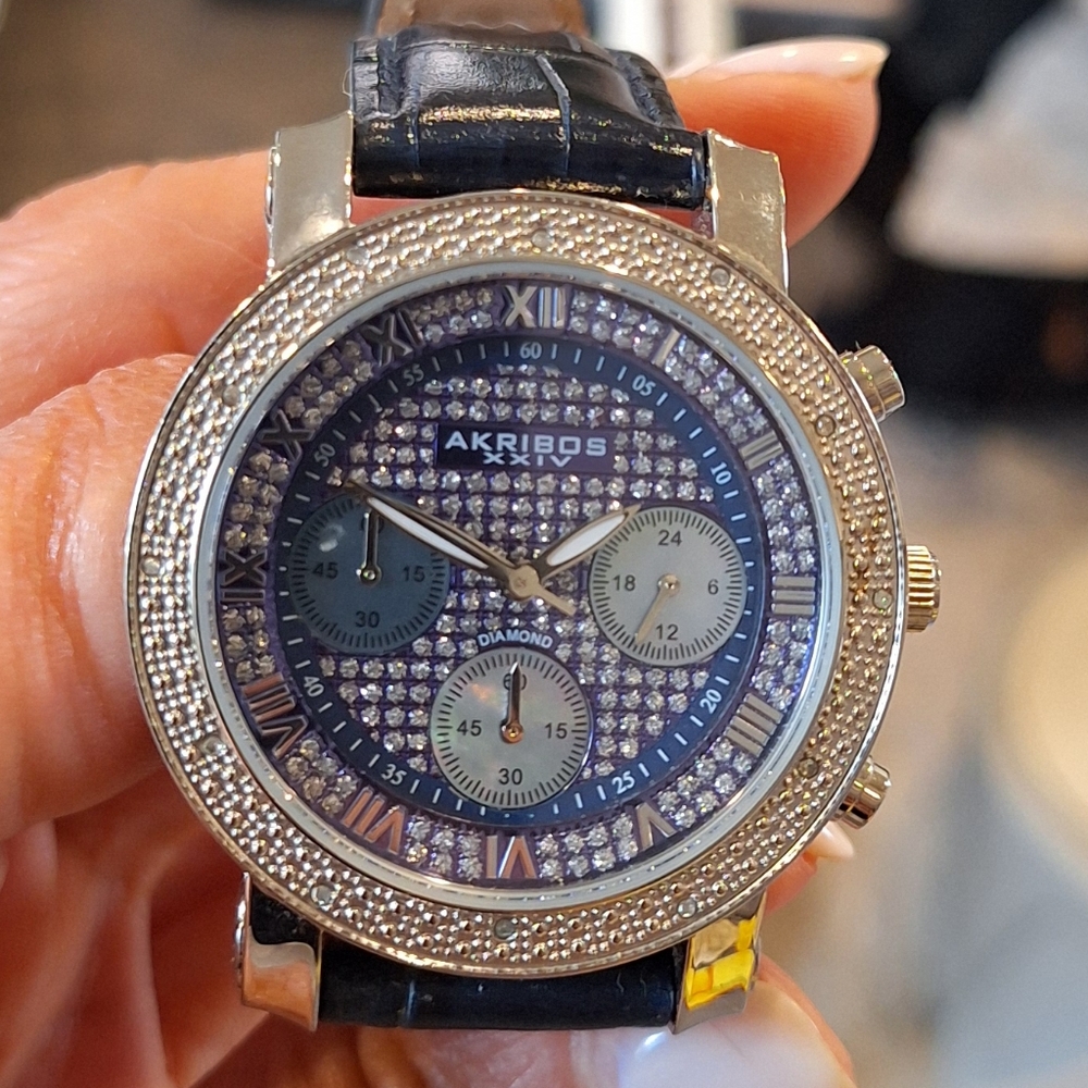 Akribos XXIV Watch
